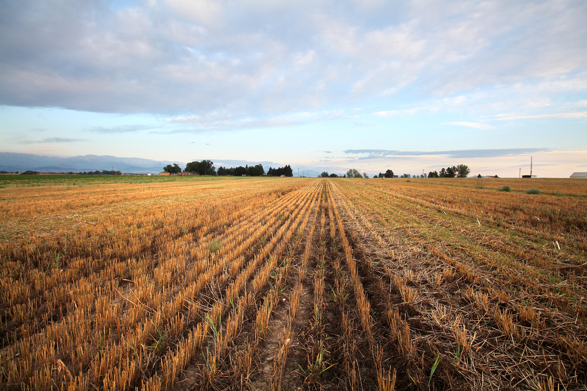 Property photo 4 - LAND & WATER RIGHTS AUCTION - 33+/- ACRES & 67 WATER UNITS/SHARES IN 26 TRACTS IN BOULDER COUNTY, CO